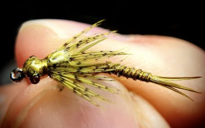Tying for Conservation Returns