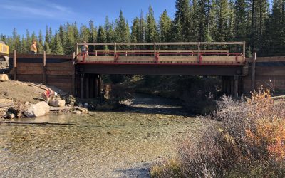 Uncovering the Hidden Beauty of Cutoff Creek; Rebuilding Bridges & Restoring Rivers